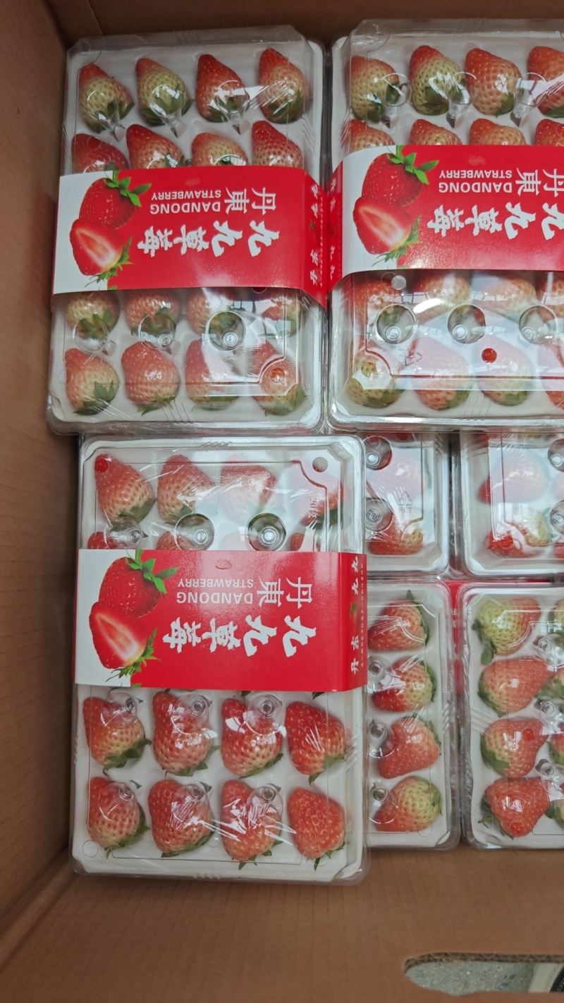 胶盒上市烘焙店奶茶店，社区团购，大量供应
