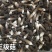 基地自种自产自销！鲜品黑鸡枞，每天大量有货一件代发