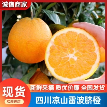 【供应链代发】红富士苹果包邮货量大甜度高你要的我都有