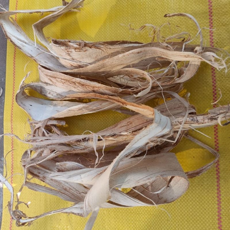 榆树刨花白皮滋润护发素原生态百年戏曲防脱养发柔顺天然