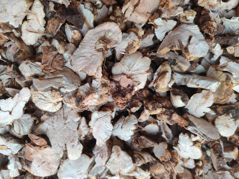 金荞麦水洗货，无杂质含硫霉变，机切片支持7天无理由退货。