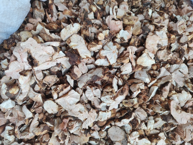 金荞麦水洗货，无杂质含硫霉变，机切片支持7天无理由退货。