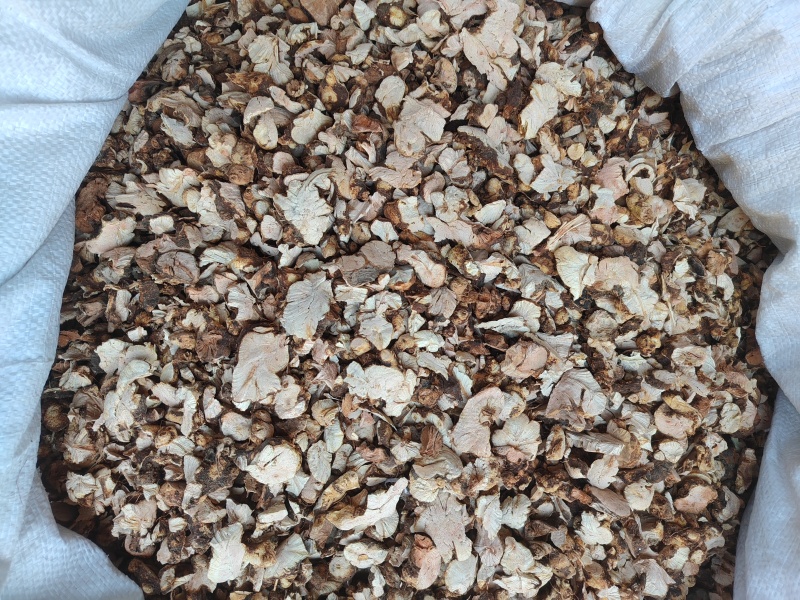 金荞麦水洗货，无杂质含硫霉变，机切片支持7天无理由退货。