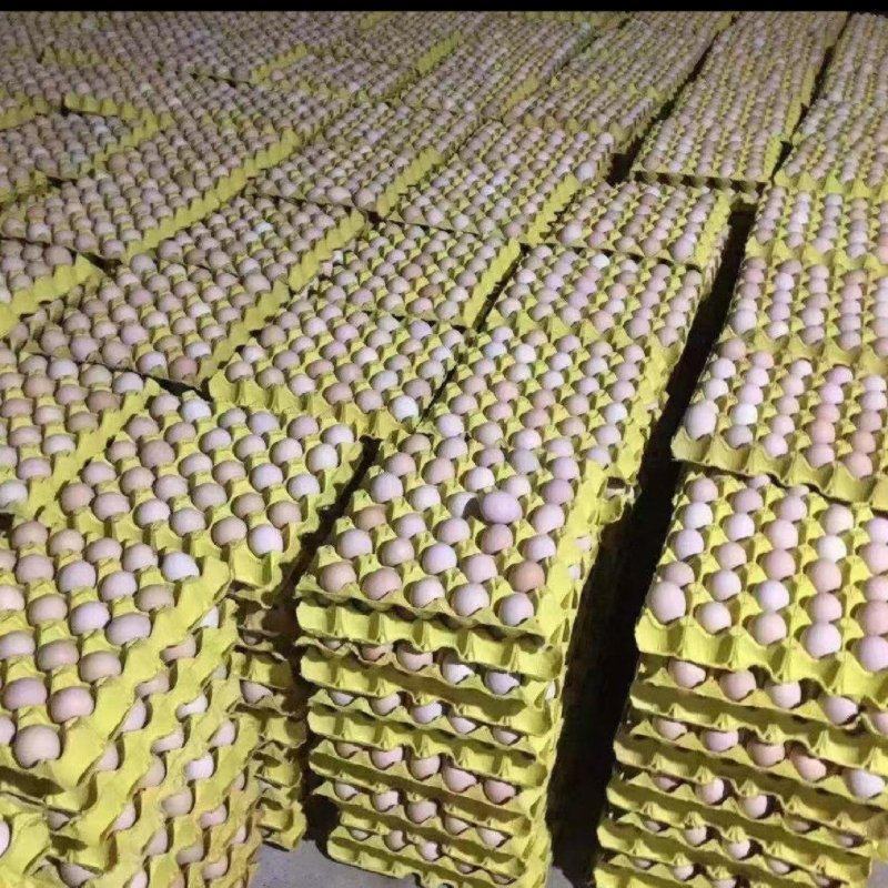 安徽土鸡蛋新鲜发货质量保证送货上门厂家直销中码