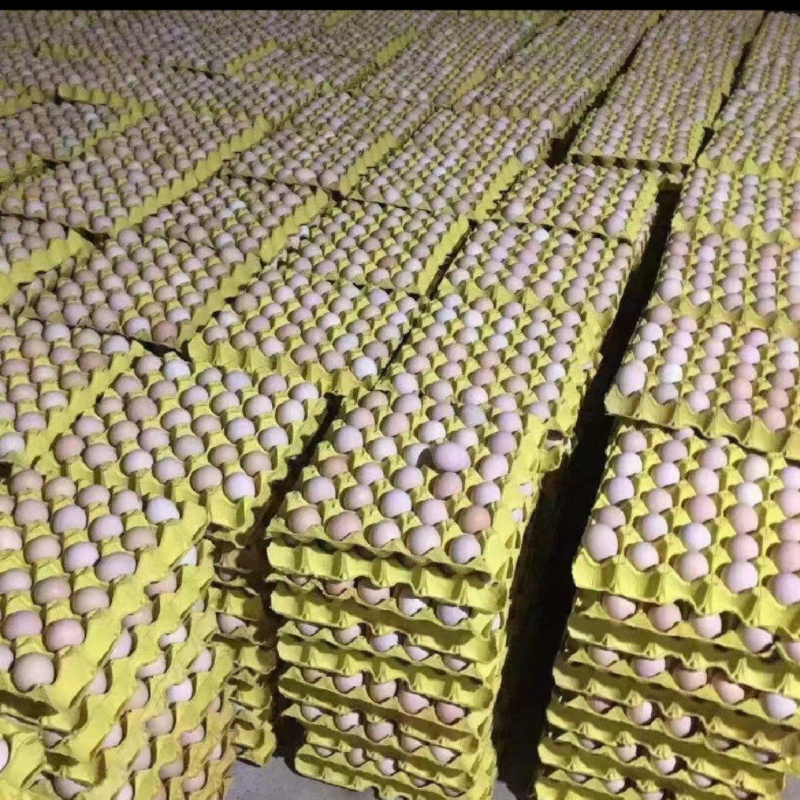 新鲜土鸡蛋质量保证新鲜箱装360枚小码中码大码