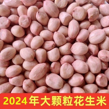 安徽花生米水分8.8新货质量保证价格实惠量大从优