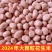安徽花生米水分8.8新货质量保证价格实惠量大从优