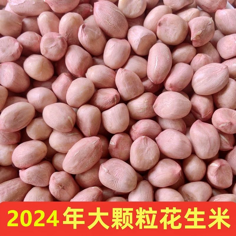 安徽花生米水分8.8新货质量保证价格实惠量大从优