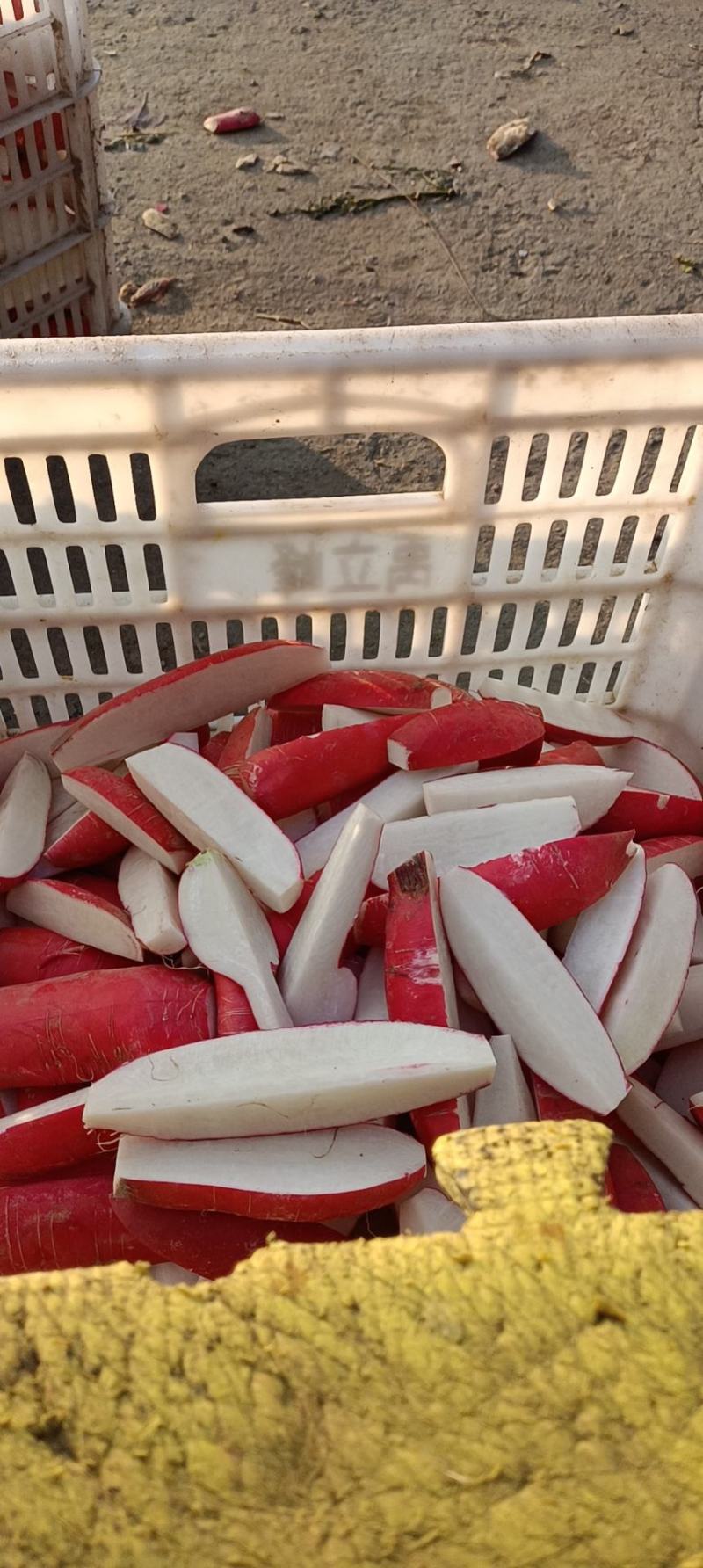 【萝卜干】一手货源品质保证对接各大商超欢迎来电