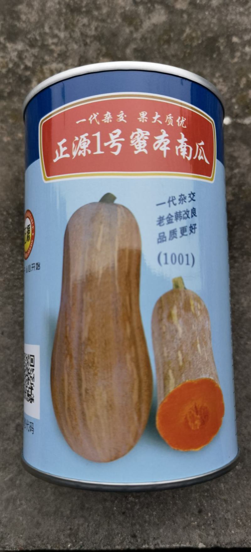南瓜种子正源1号蜜本南瓜大果型高产又甜又面好品质