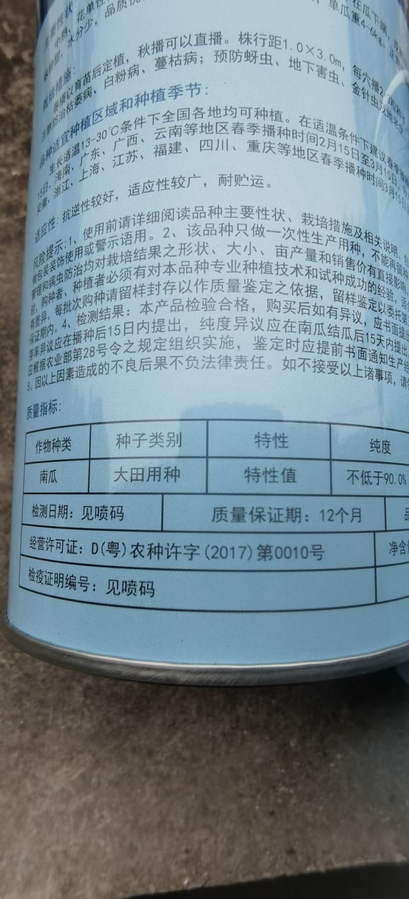 南瓜种子正源1号蜜本南瓜大果型高产又甜又面好品质