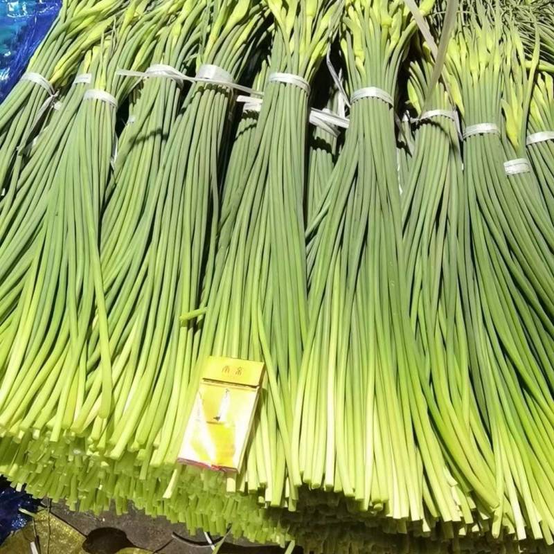 白帽蒜薹质优价廉，一吨起批，随到随装欢迎咨询