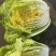 大吨位供应大白菜145黄心大白菜包得紧耐运输耐储存