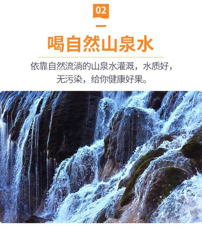 春见耙耙柑眉山产地直发好吃汁多味美按需求供货