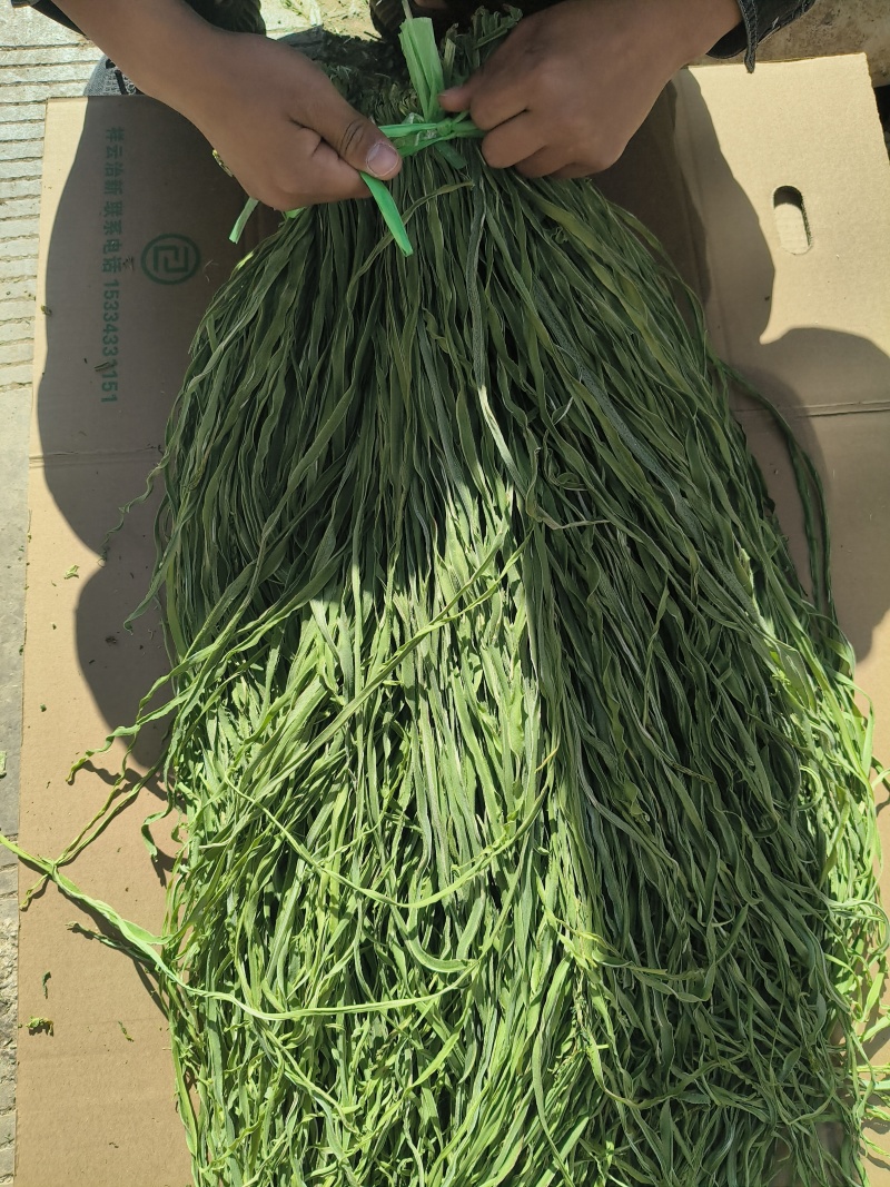 云南贡菜干响菜产地直供货源充足品质保证