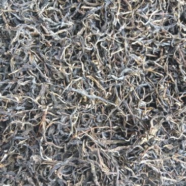 屏边普洱茶