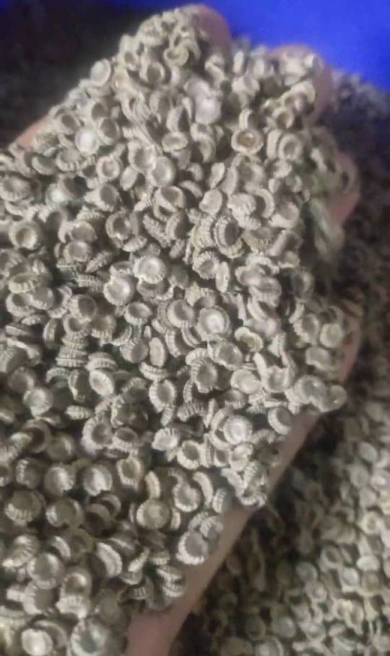 粉防己种子厂地直发，一手货源，保质保量，欢迎订购