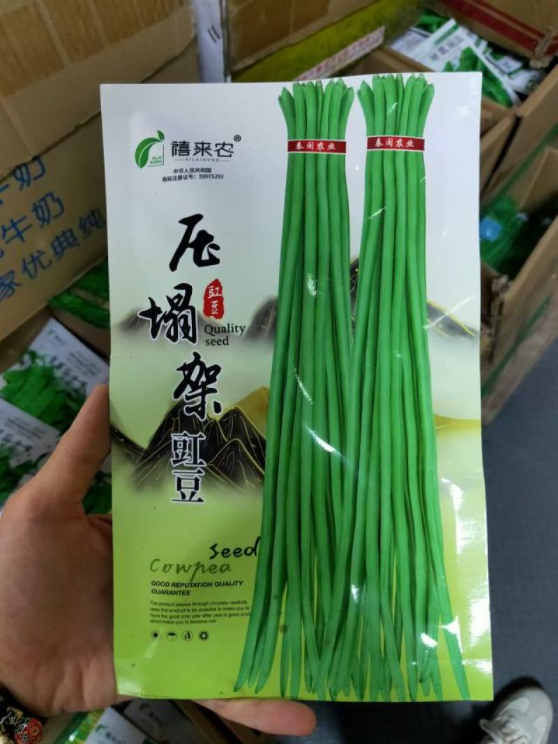 压塌架豇豆种子白绿条条形顺直肉厚质嫩不易鼓籽