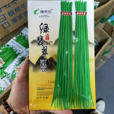 绿翡翠豇豆种子深绿色早熟蔓生籽小肉荚厚春秋均可种植