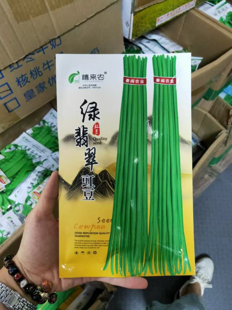 绿翡翠豇豆种子深绿色早熟蔓生籽小肉荚厚春秋均可种植