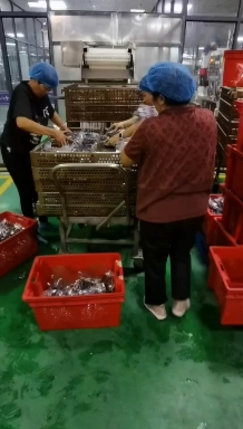山东真空包装黑玉米量大可谈，欢迎咨询洽谈