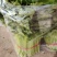 河南南阳市新野县芹菜大量上市量大从优
