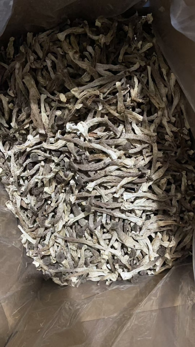 鹿茸菇、各种规格齐全、量大优惠、可**发票、一件代发。