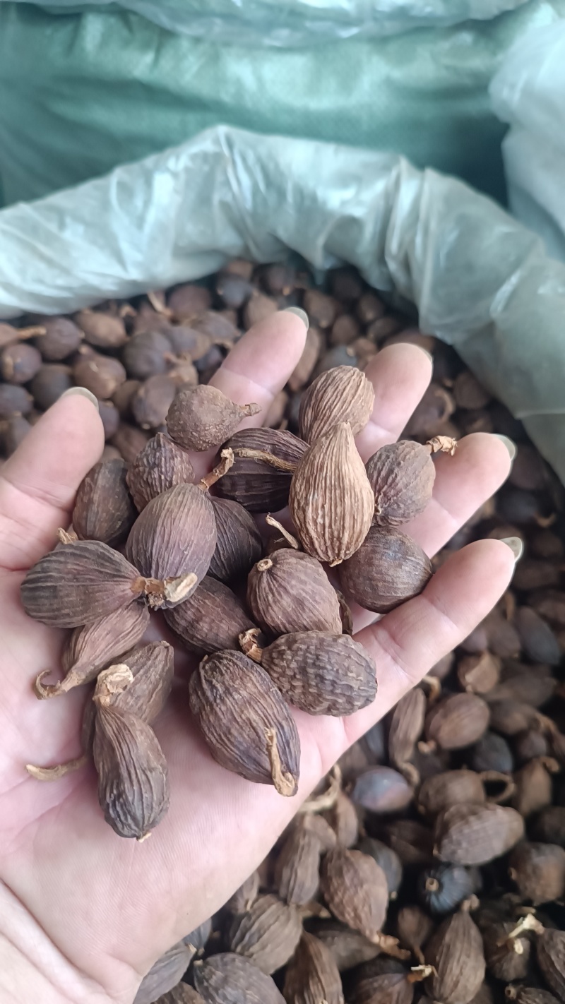 草果