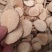 泽泻新货泽泻统货过筛无杂质正品保障四川泽泻品质优良