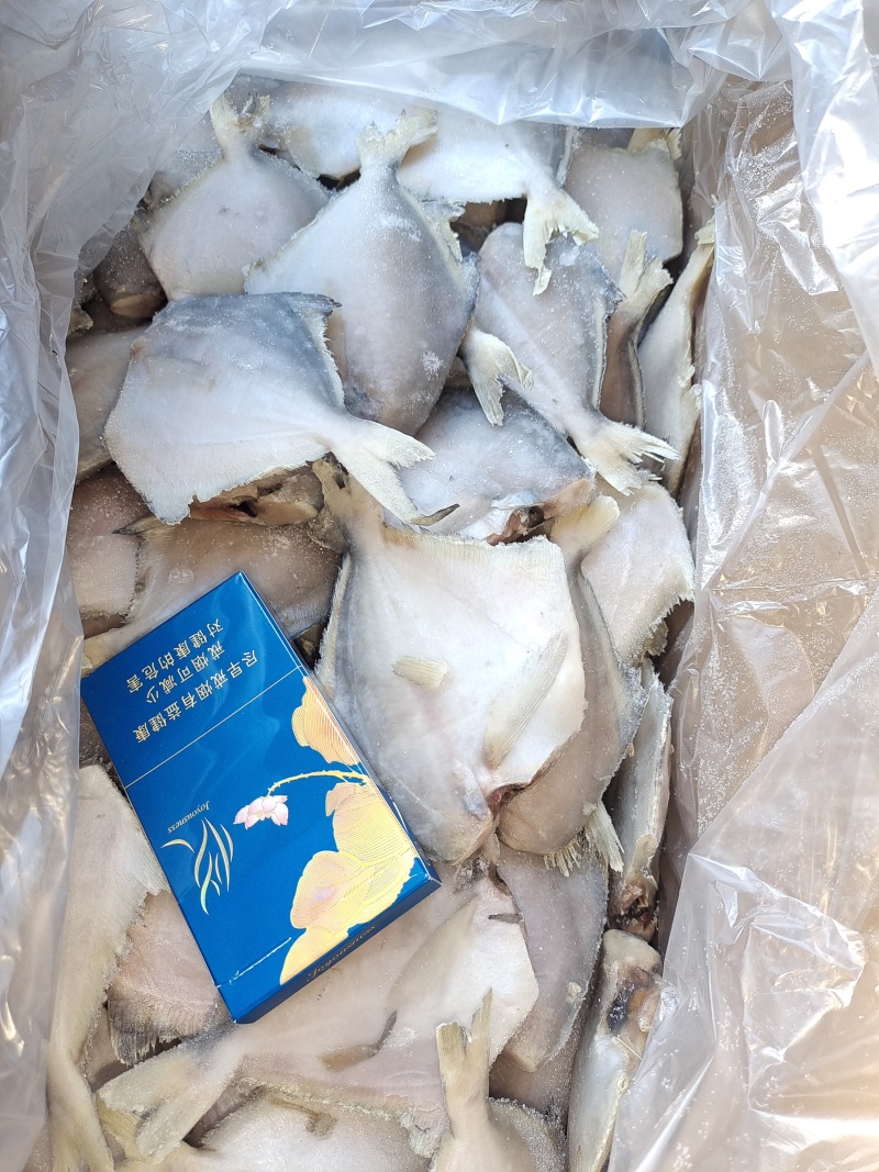 鲳鱼，陆冻船冻都有货，市场批发单冻，社区团购电商