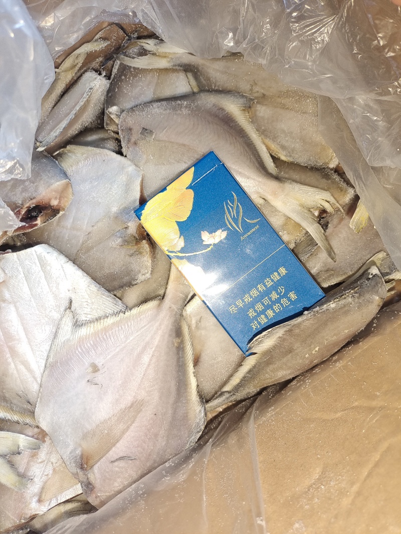 鲳鱼，陆冻船冻都有货，市场批发单冻，社区团购电商