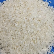 大米农家稻米净白清香厂家直销量大可优惠