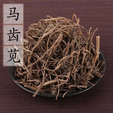 【马齿苋】马齿苋物美价廉产地直供量大从优