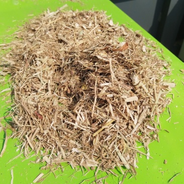 优质甘蔗叶供应