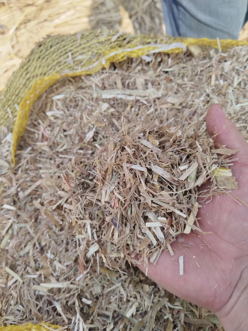 优质甘蔗叶供应