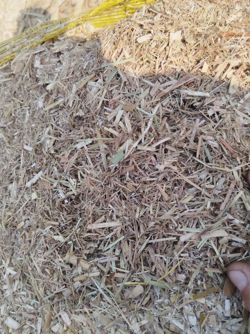 优质甘蔗叶供应