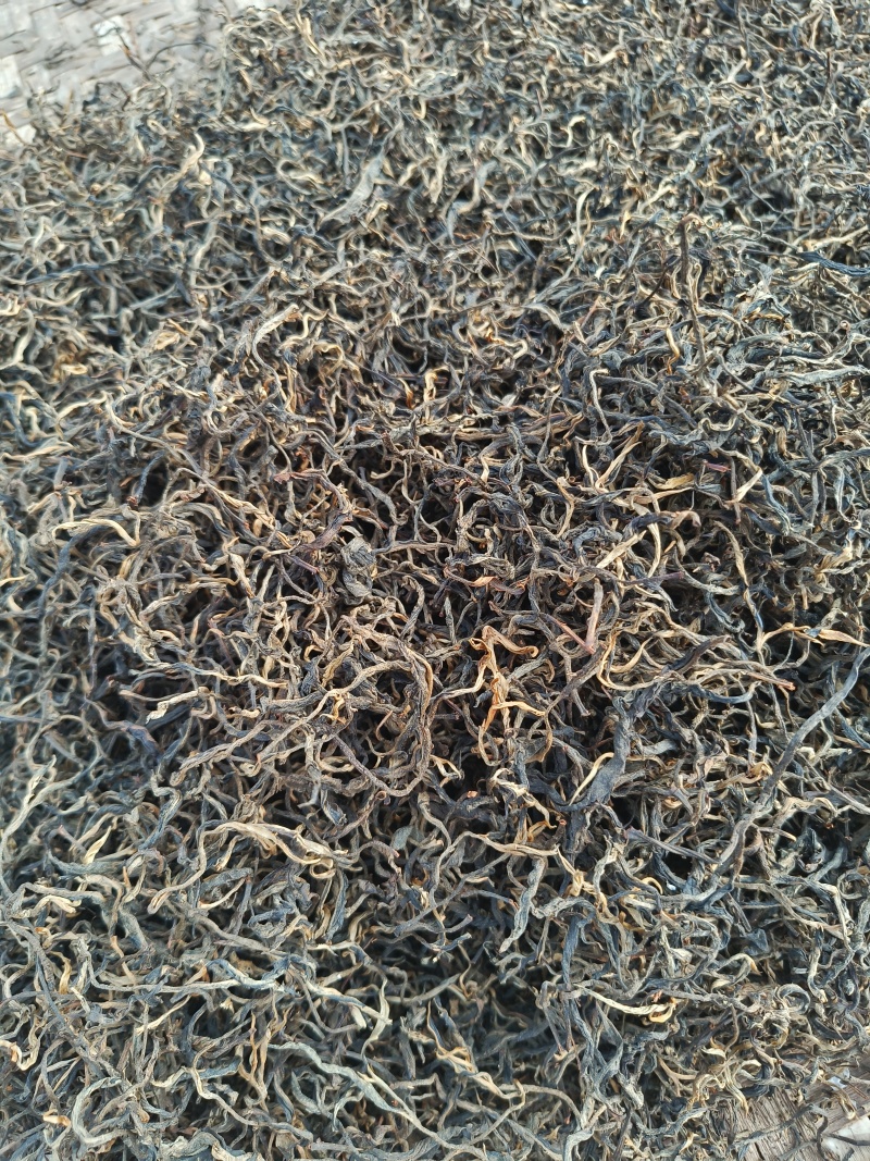 自家高山生态普洱晒红茶散茶500克包邮
