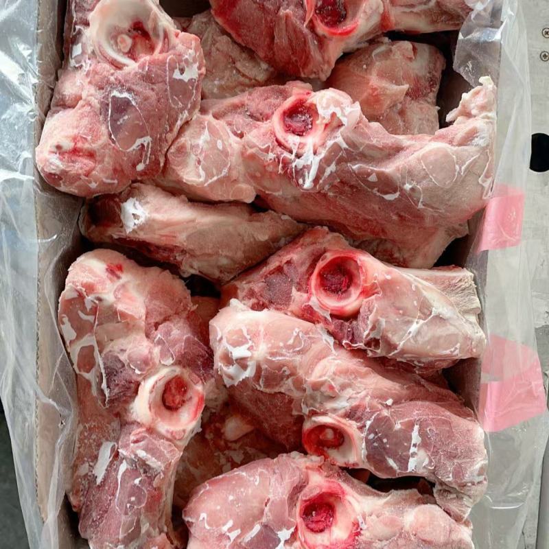 满肉尾叉骨