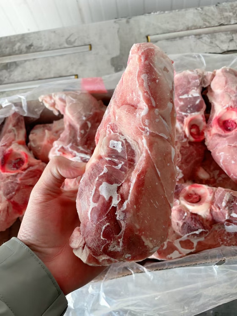 满肉尾叉骨