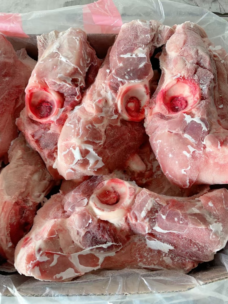 满肉尾叉骨