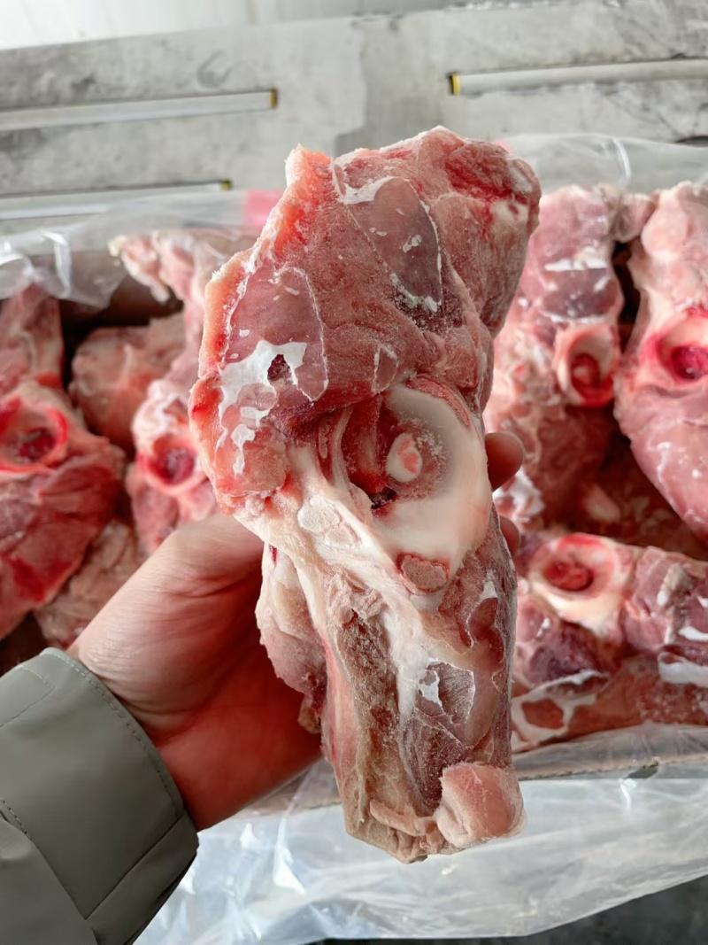 满肉尾叉骨