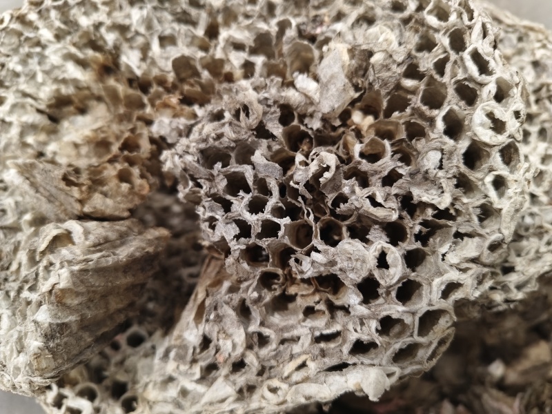 蜂房天然蜂房马蜂窝无虫卵优质净货批发零售野生蜂房