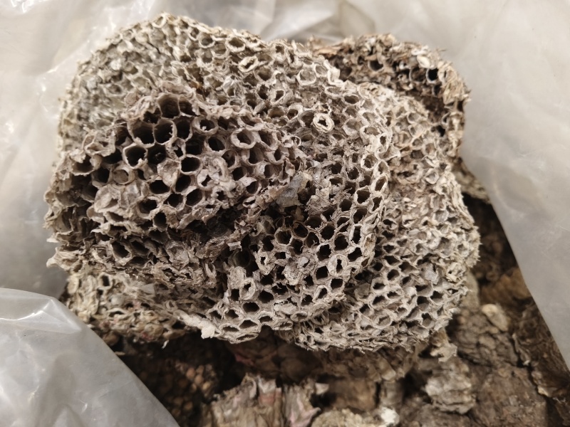 蜂房天然蜂房马蜂窝无虫卵优质净货批发零售野生蜂房