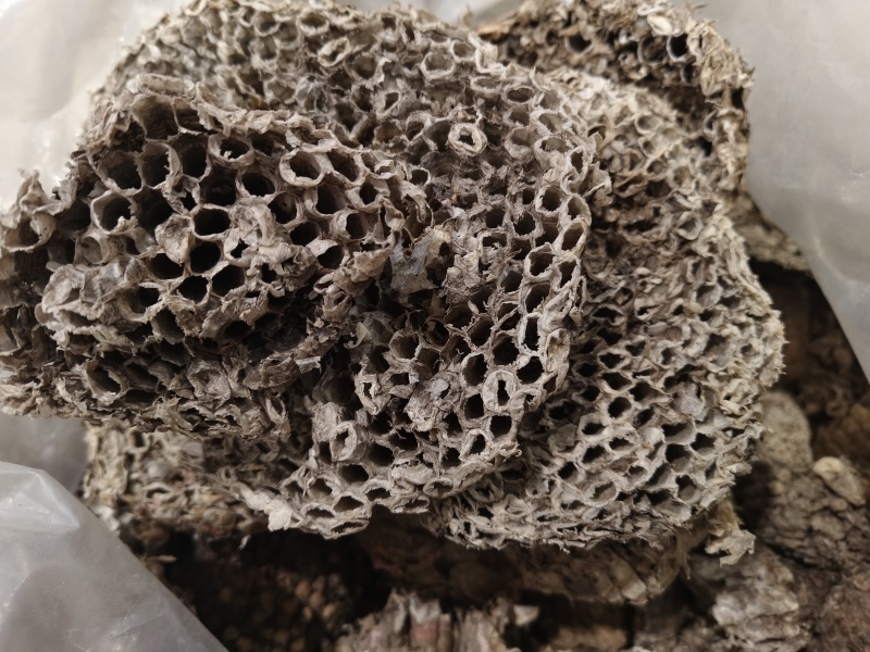 蜂房天然蜂房马蜂窝无虫卵优质净货批发零售野生蜂房