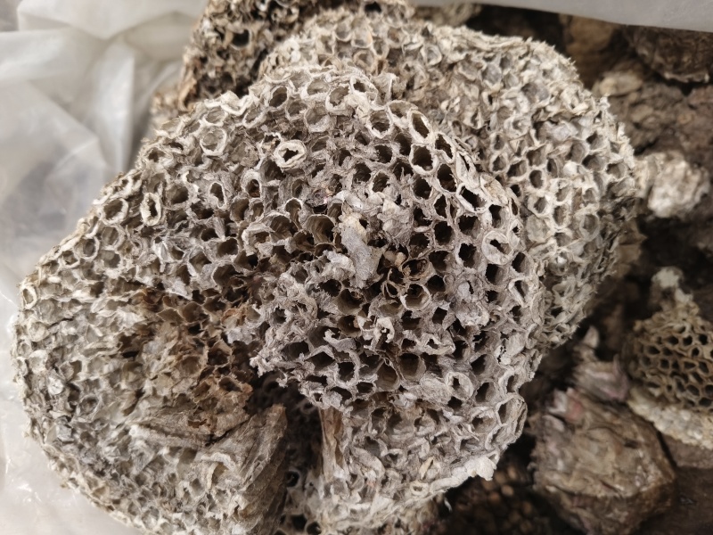 蜂房天然蜂房马蜂窝无虫卵优质净货批发零售野生蜂房