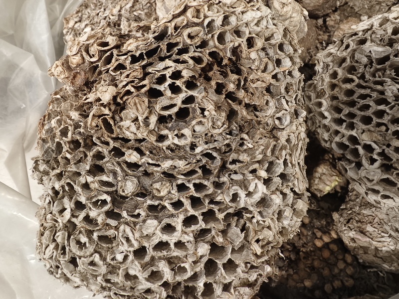 蜂房天然蜂房马蜂窝无虫卵优质净货批发零售野生蜂房