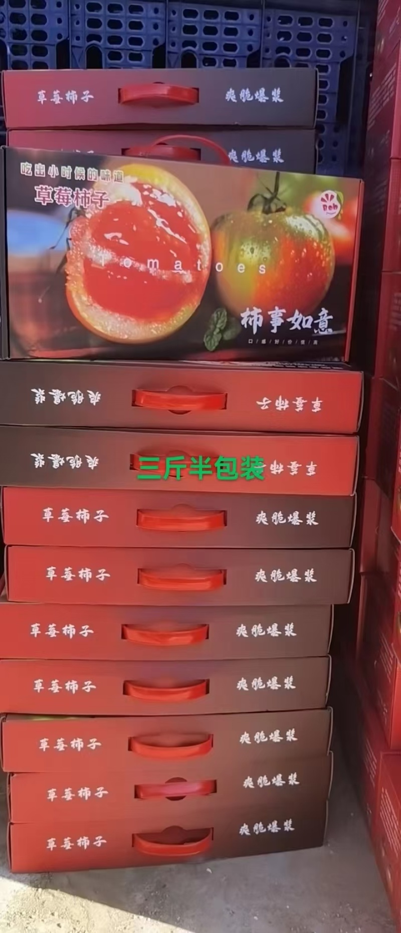 盘锦碱地柿子大量现货欢迎骚扰！支持原产地溯源！对接各渠道