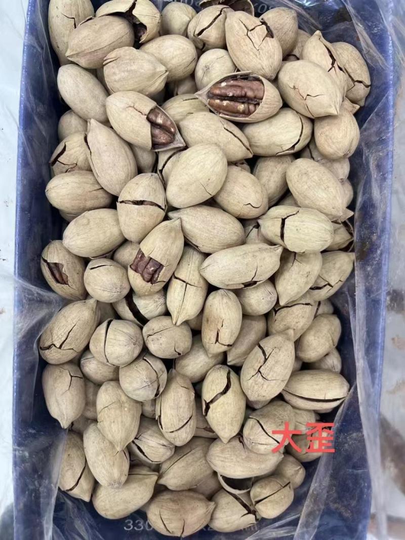 碧根果今年新货产地直发品质保证价格漂亮一手货源
