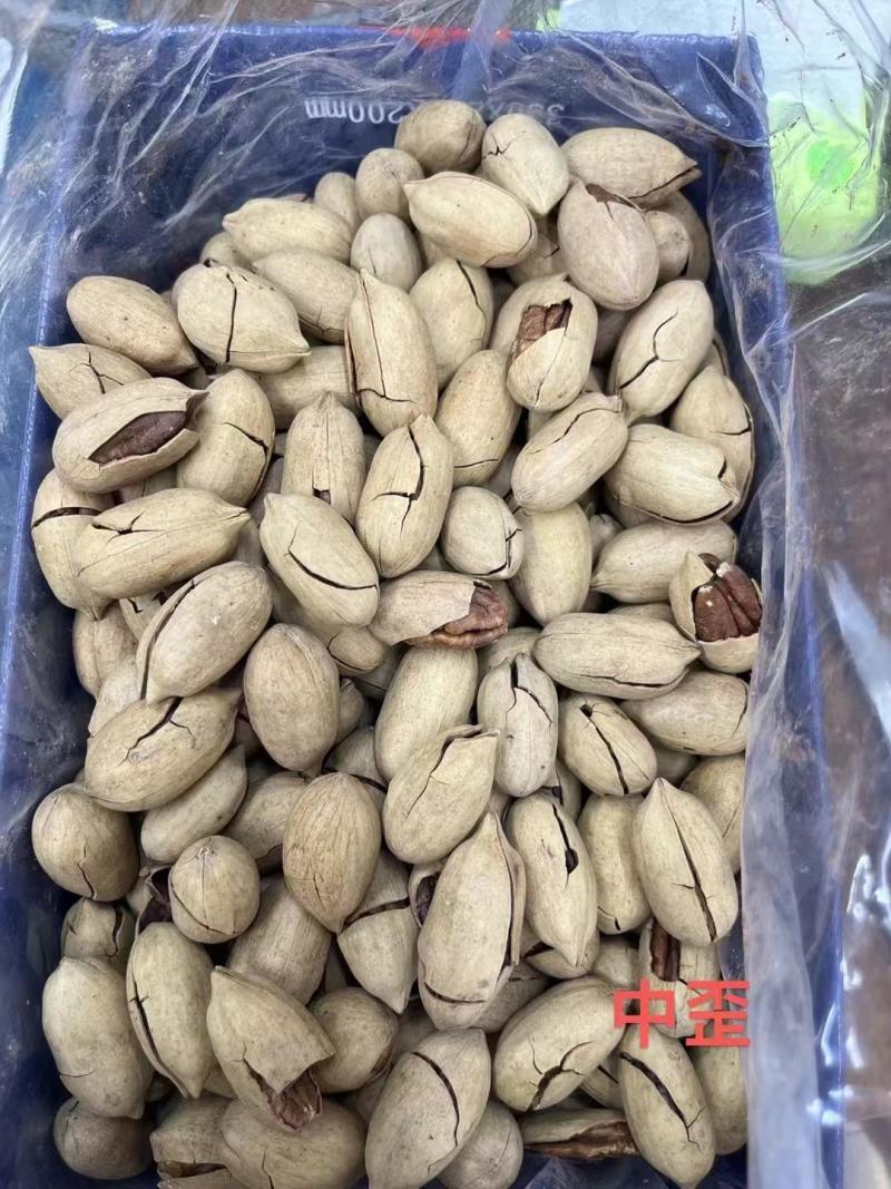 碧根果今年新货产地直发品质保证价格漂亮一手货源