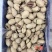 碧根果大量现货产地直发品质保证价格漂亮一手货源充足